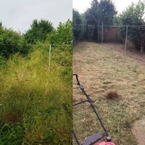 débroussaillage jardin