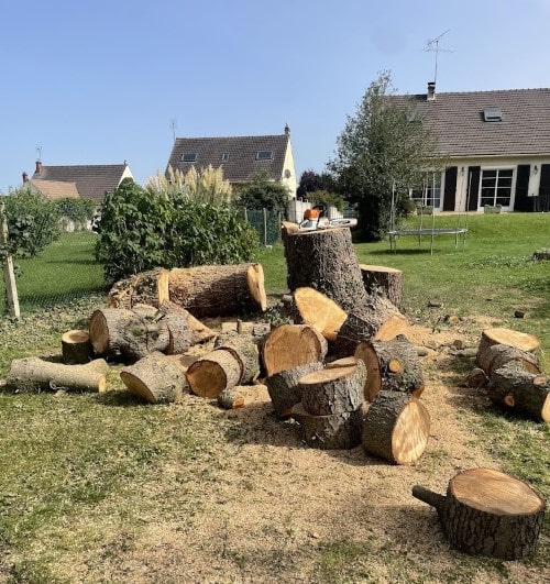abattage arbre complet