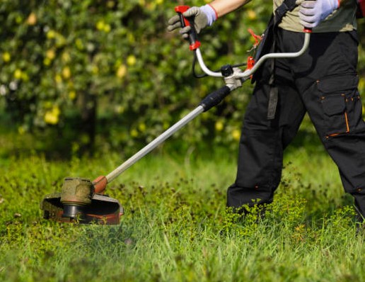 débroussaillage jardin